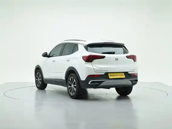 Buick PLUS — миниатюра 10