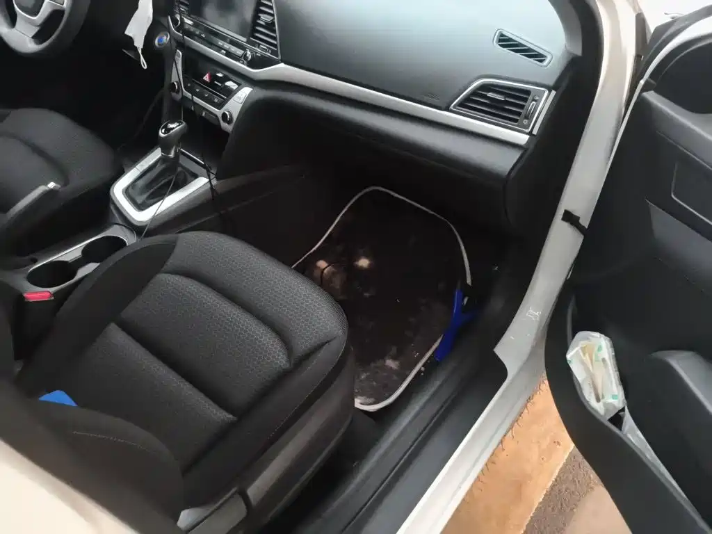 Hyundai Elantra — миниатюра 22