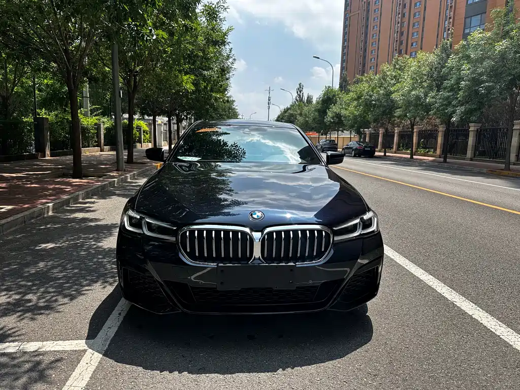 BMW 5 Series — миниатюра 2