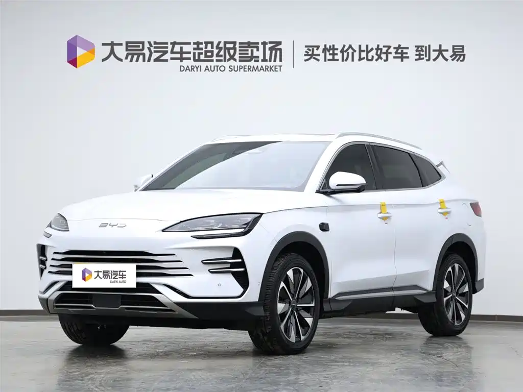 BYD PLUS New Energy 2025