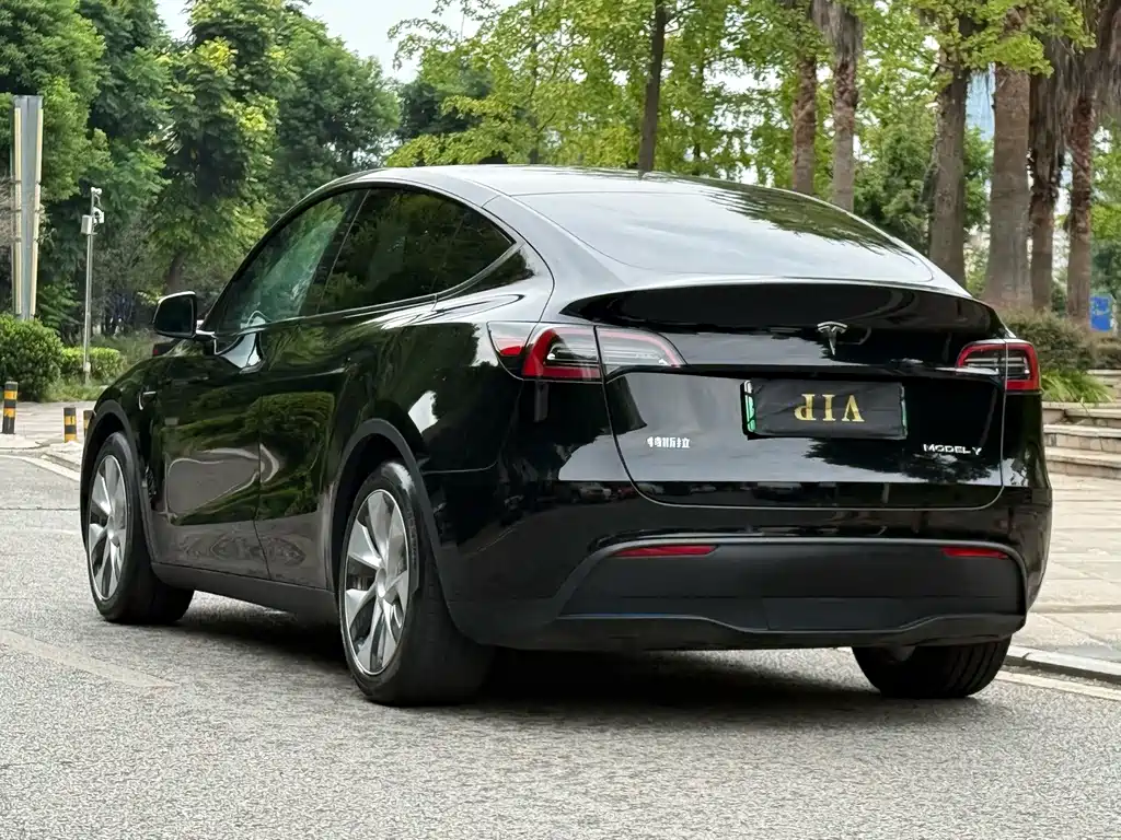 Tesla Model Y — миниатюра 6