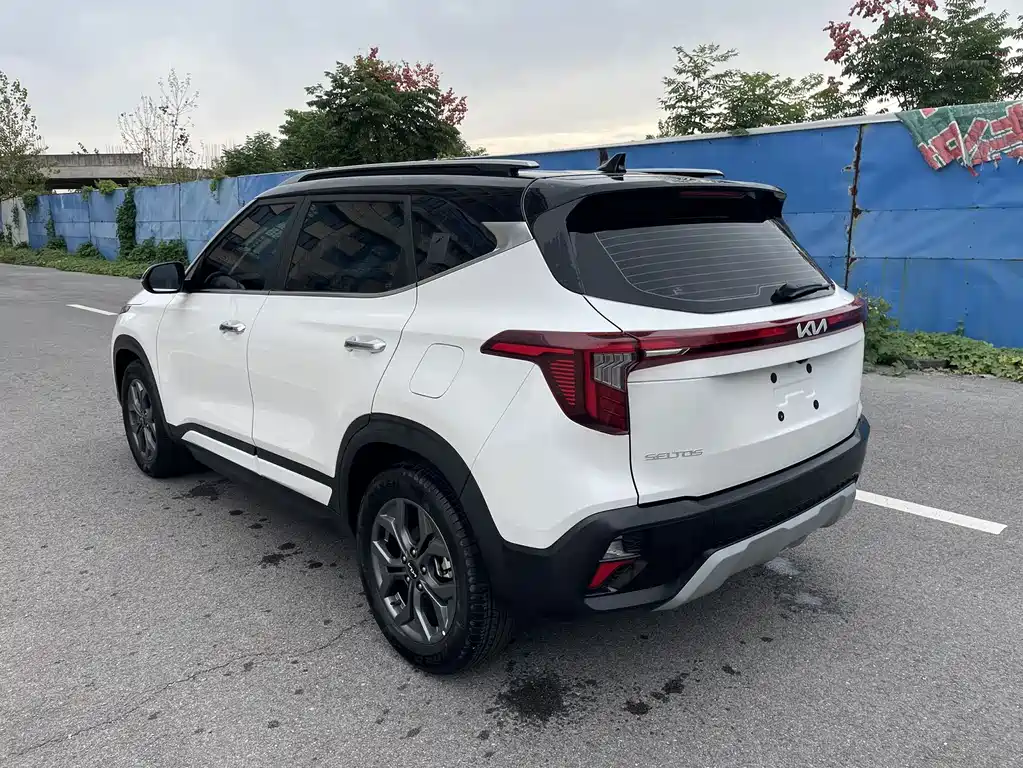 Kia Seltos — миниатюра 6