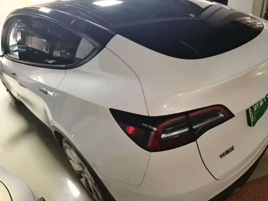 Tesla Model Y — миниатюра 5