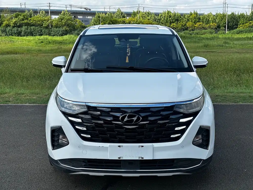 Hyundai Custo — миниатюра 2