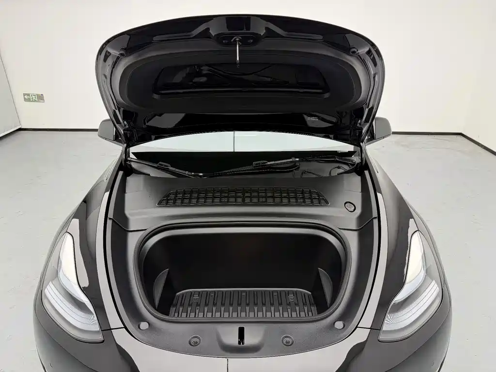 Tesla Model Y — миниатюра 7