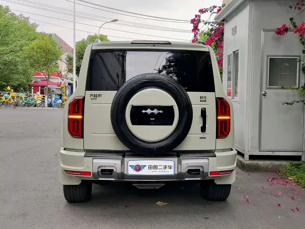 Fang Cheng Bao Leopard 5 — миниатюра 5