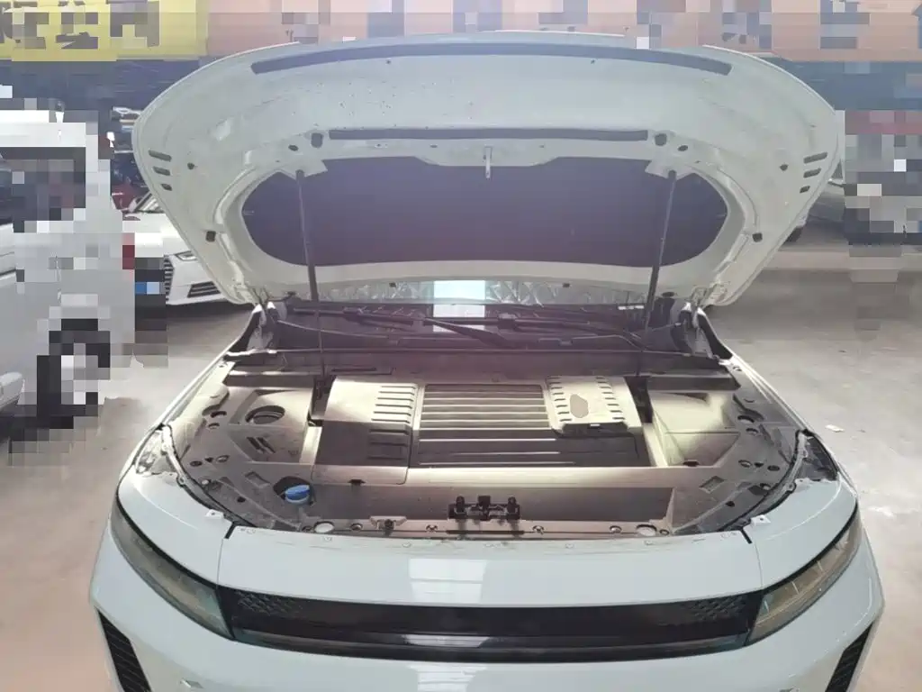 Exeed Zhaofeng C-DM — миниатюра 16