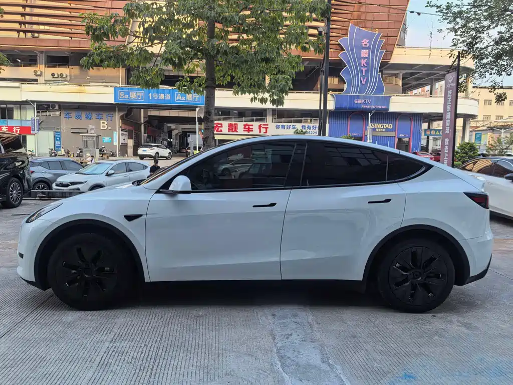 Tesla Model Y — миниатюра 4