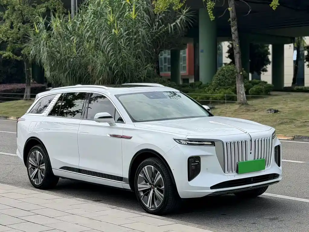 Hongqi Hongqi E-HS9 — миниатюра 3