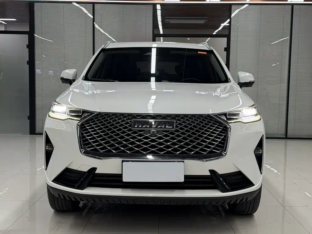 Haval H6 — миниатюра 2
