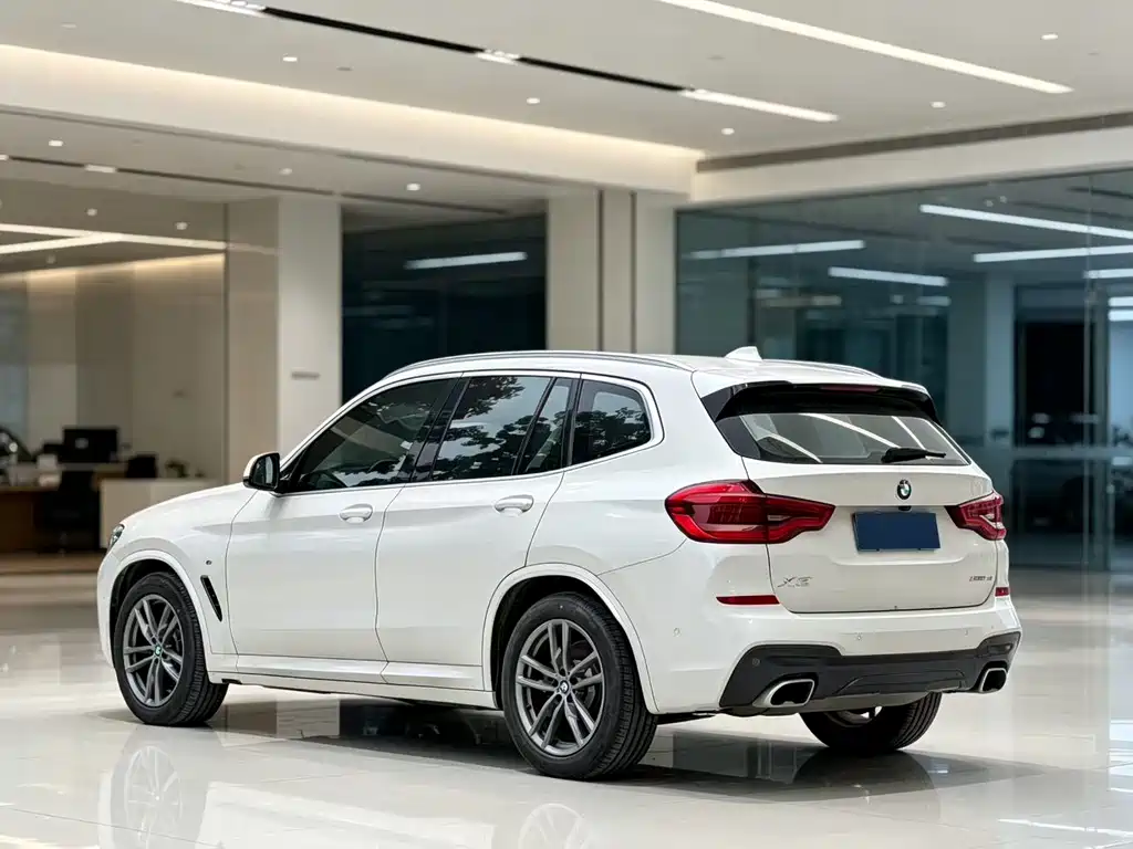 BMW X3 — миниатюра 8