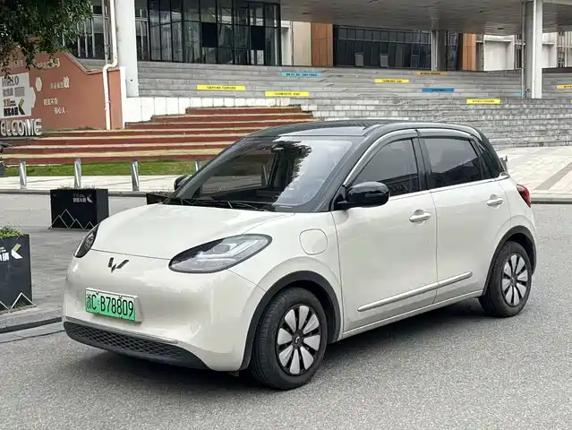 WULING WULING BINGGUO 2025