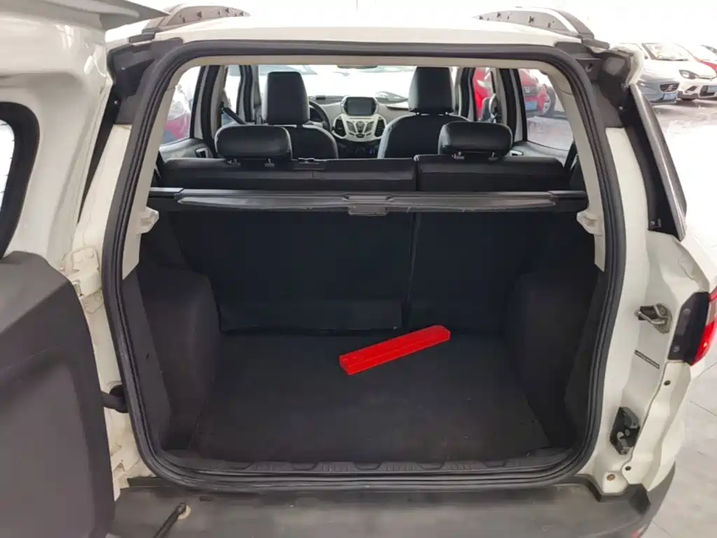 Ford Ecosport — миниатюра 19