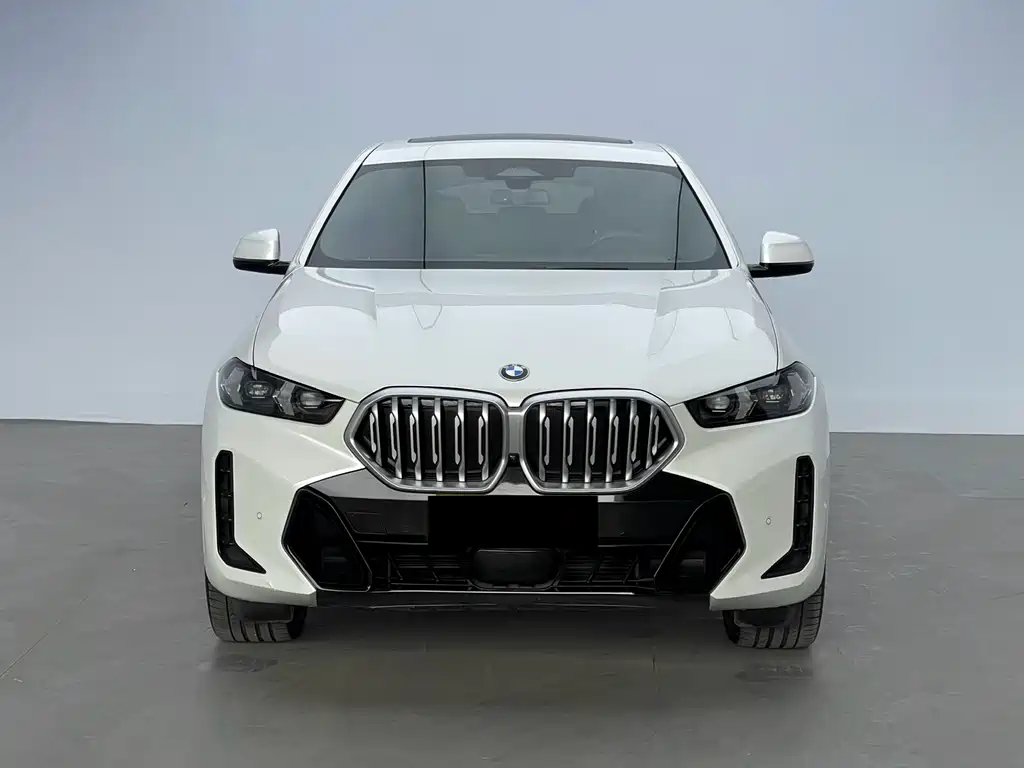BMW X6 2023 xDrive30i M Sport