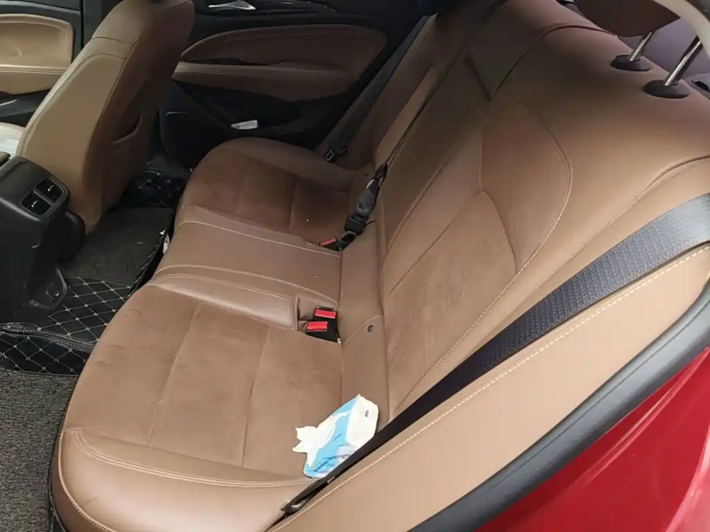 Buick Regal — миниатюра 22