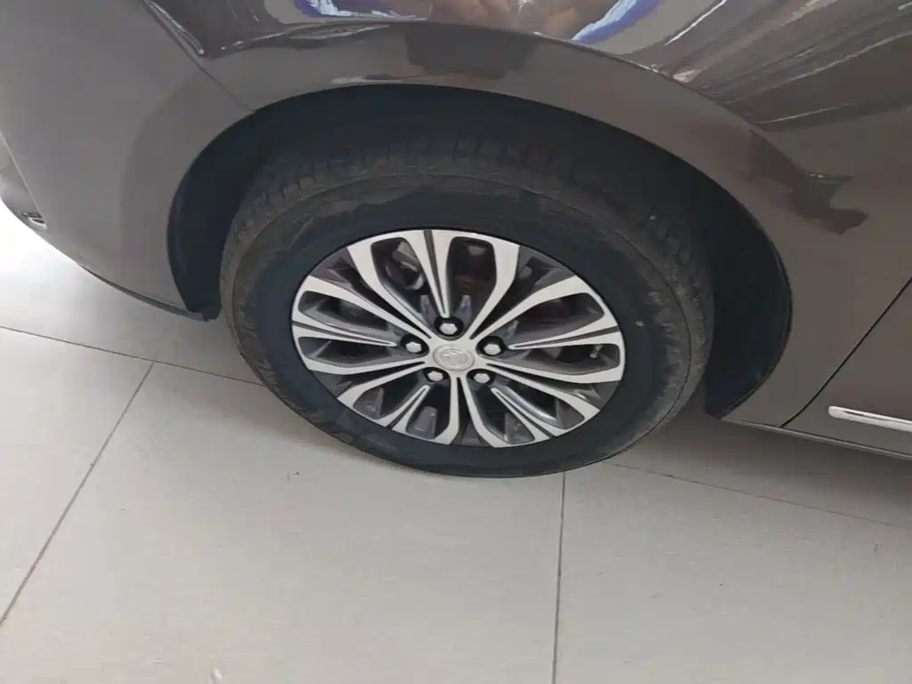 Buick GL8 — миниатюра 23