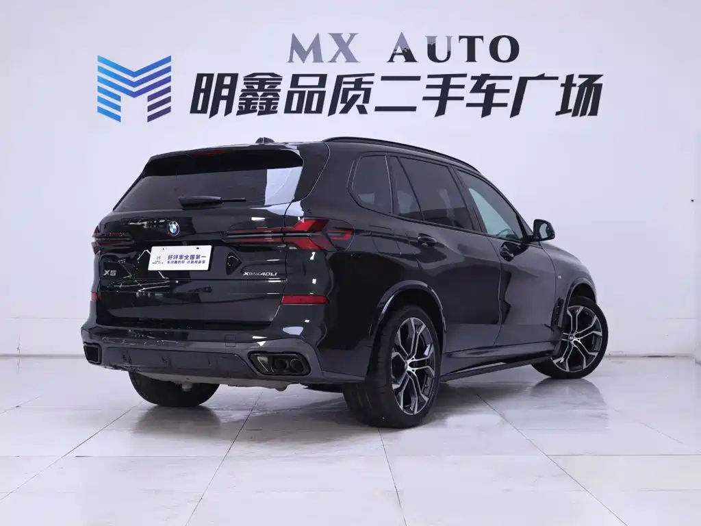 BMW X5 — миниатюра 7