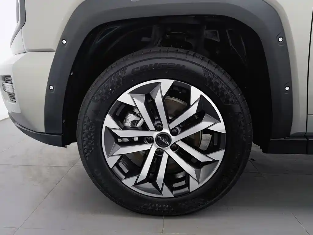 Haval Big Dog PLUS — миниатюра 17