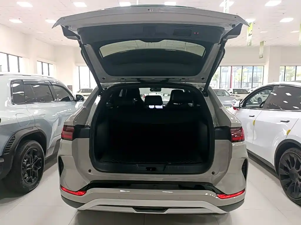BYD PLUS New Energy — миниатюра 19