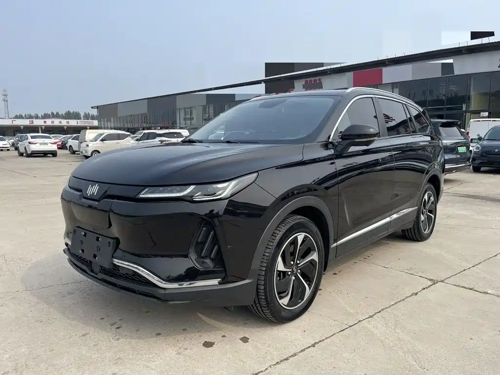WM Motor EX6