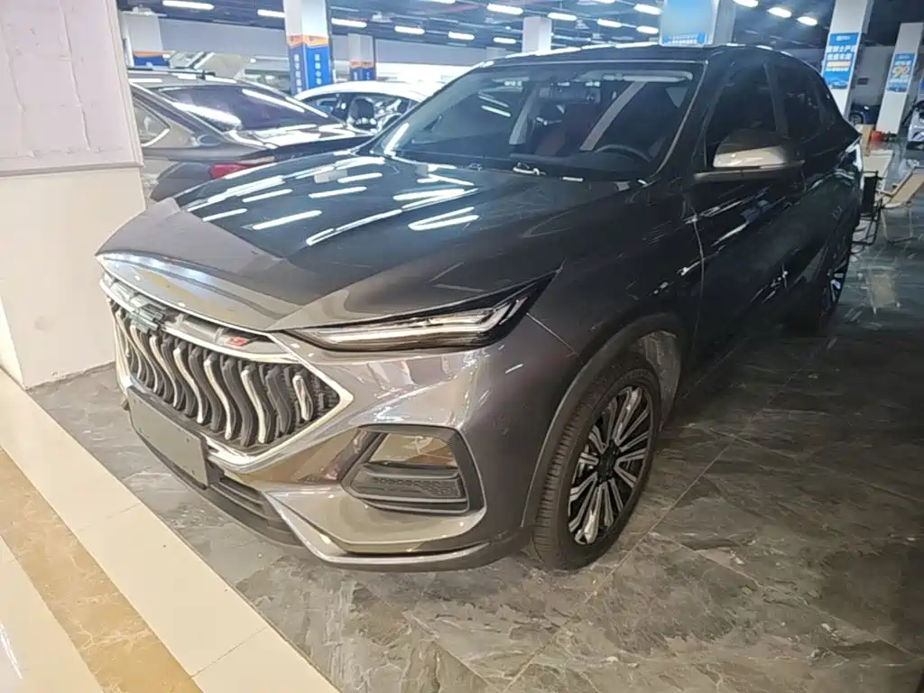 Oshan Oushang X5 — миниатюра 2