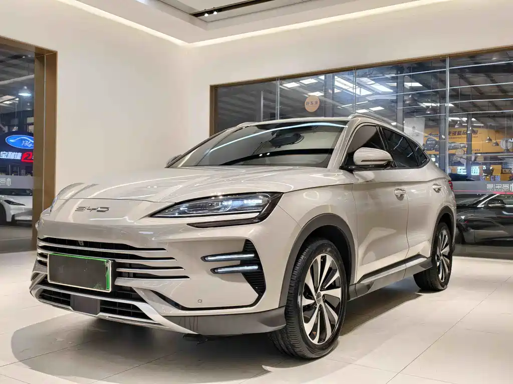 BYD PLUS New Energy 2024