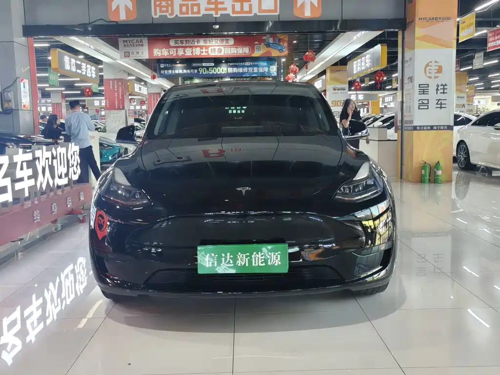 Tesla Model Y — миниатюра 2