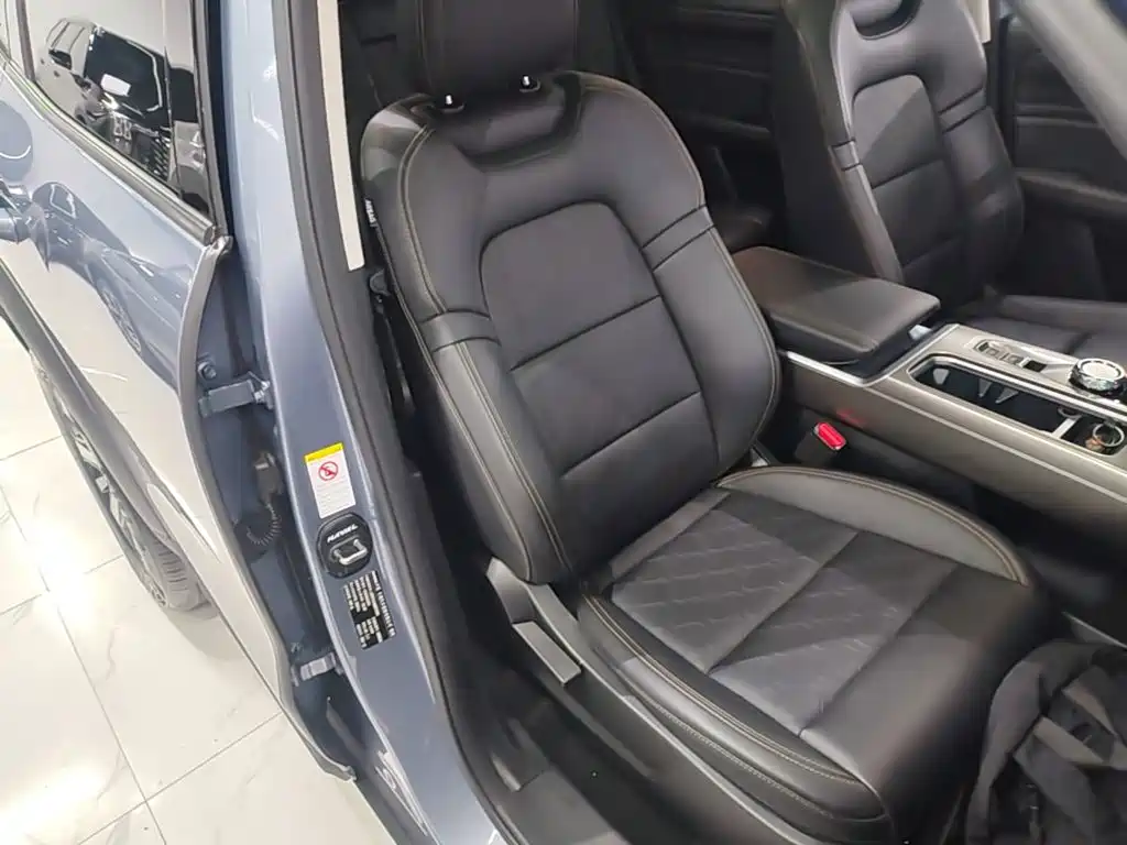 Haval Big Dog — миниатюра 25