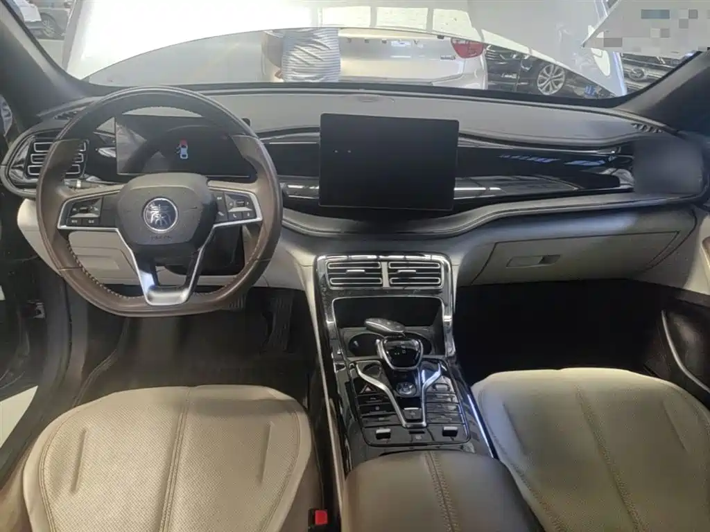 BYD Qin Plus PLUS 2024 DM-i 55KM Lead