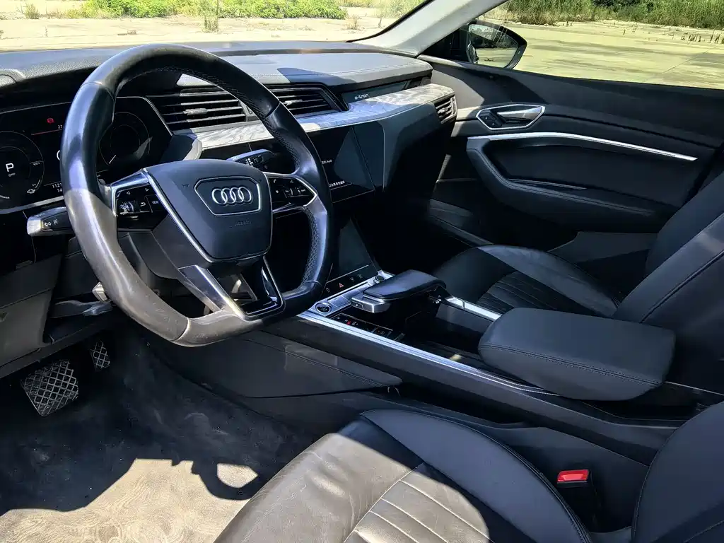 Audi e-tron 2021 50 quattro Luxury
