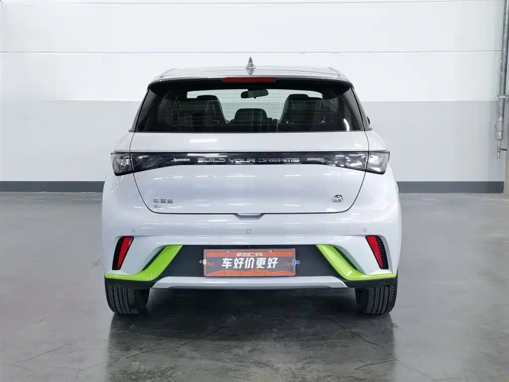 BYD Dolphin 2021 405km Fashion