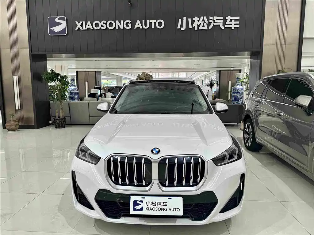 BMW X1 — миниатюра 2