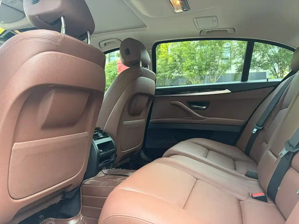 BMW 5 Series 5 2017 525Li Lead