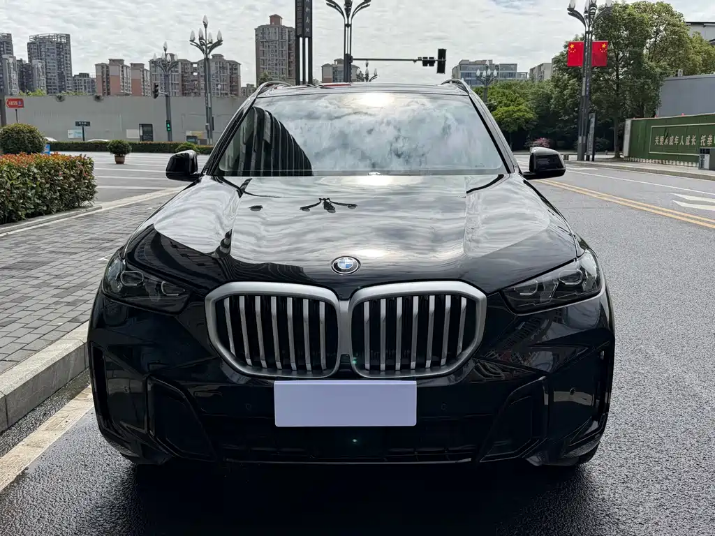 BMW X5 — миниатюра 12