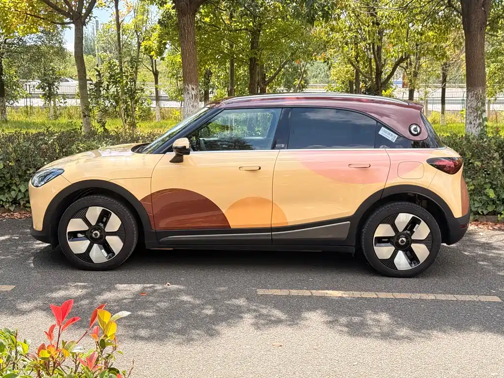 smart Smart #1 — миниатюра 6