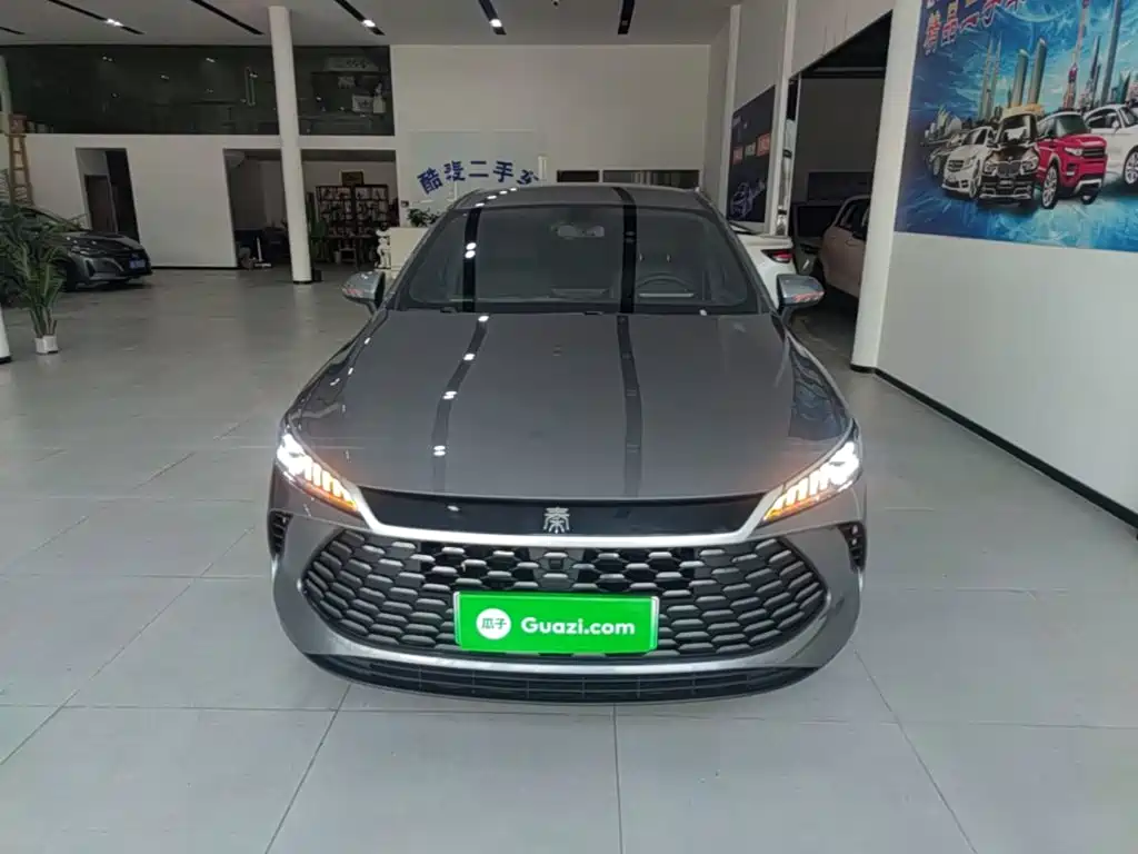 BYD Qin Plus PLUS 2025 DM-i Smart Drive 55KM Lead