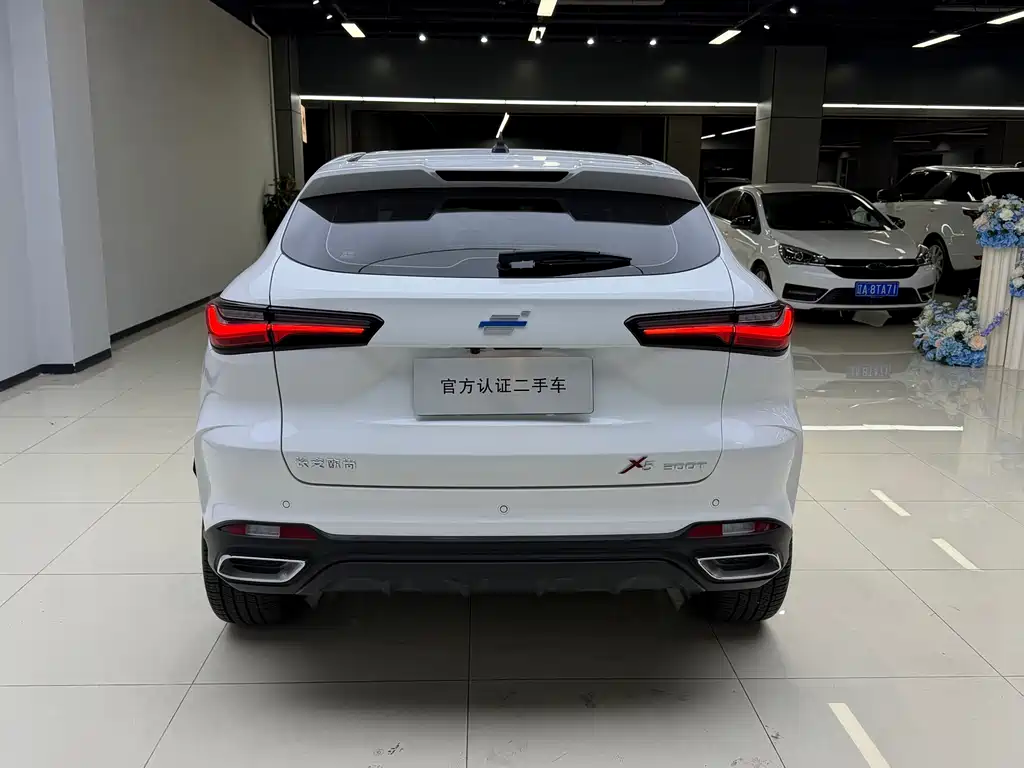 Oshan Oushang X5 — миниатюра 8