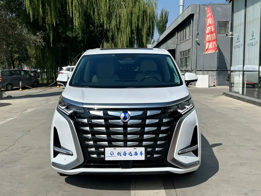 Denza Denza D9 — миниатюра 2