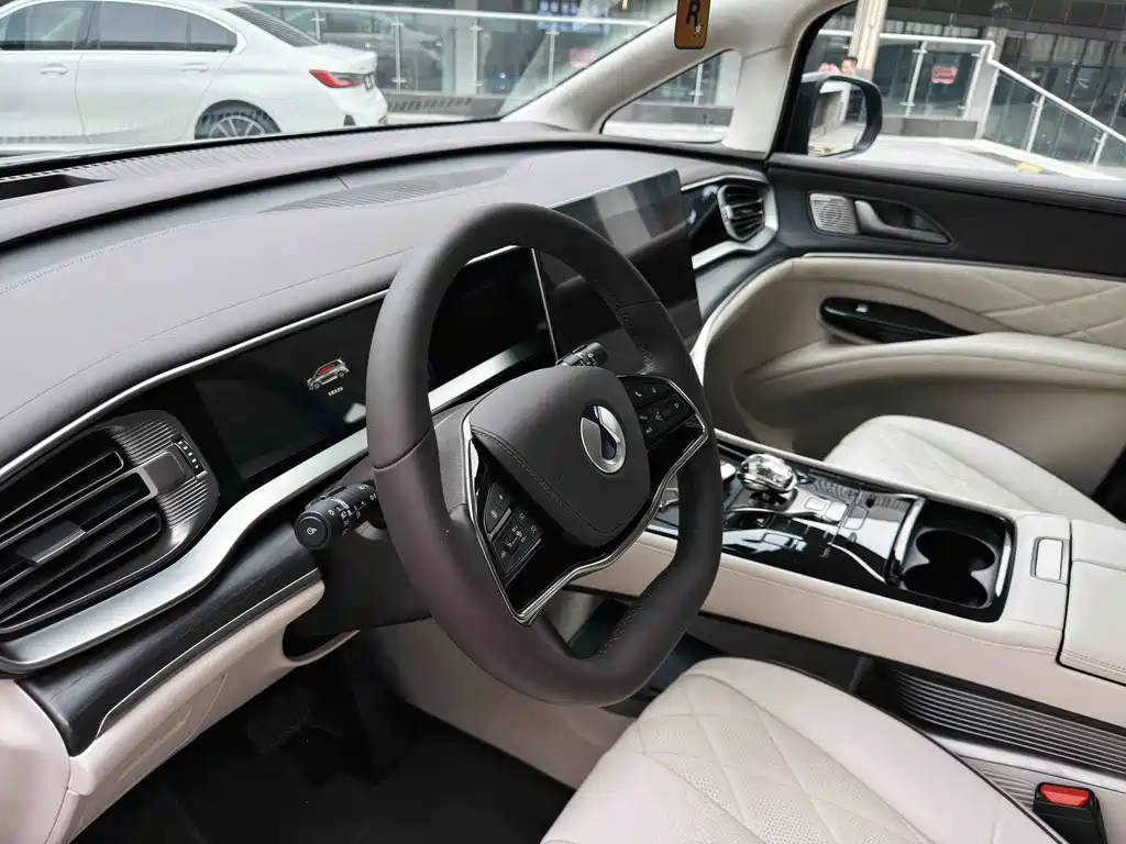 Denza Denza D9 — миниатюра 11