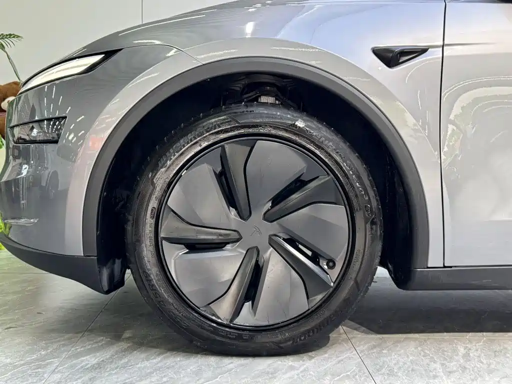 Tesla Model Y — миниатюра 23
