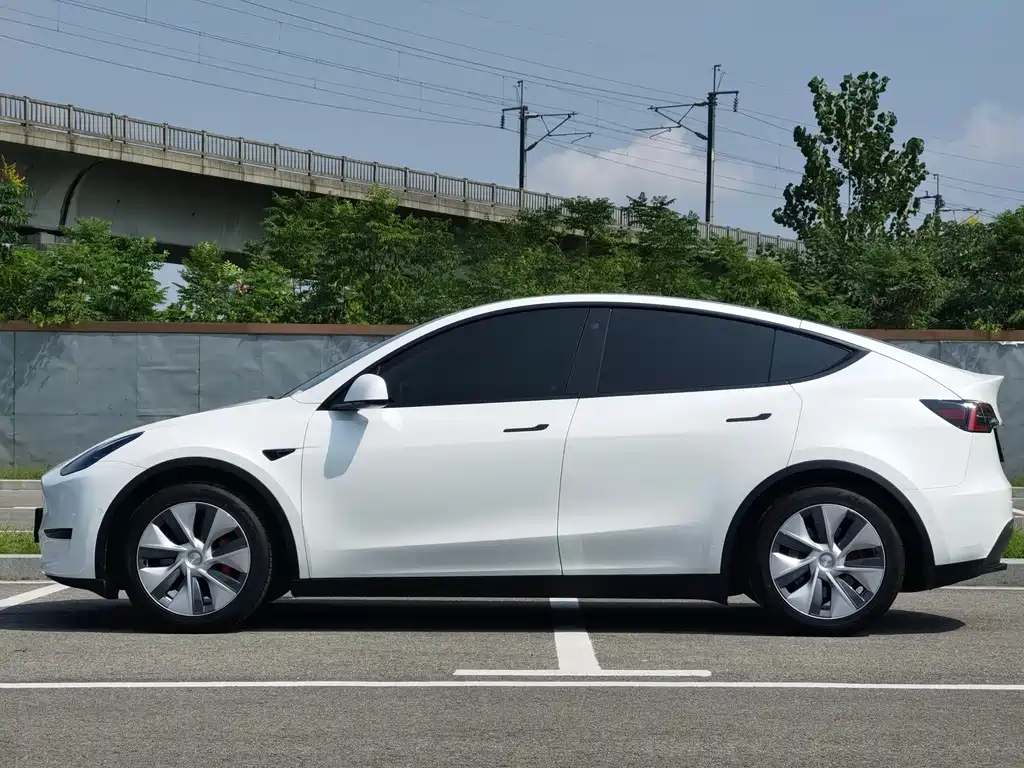 Tesla Model Y — миниатюра 3