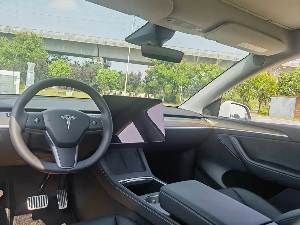 Tesla Model Y — миниатюра 13