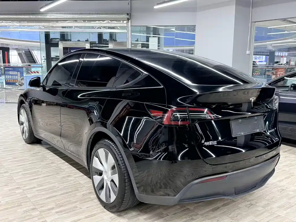 Tesla Model Y — миниатюра 3