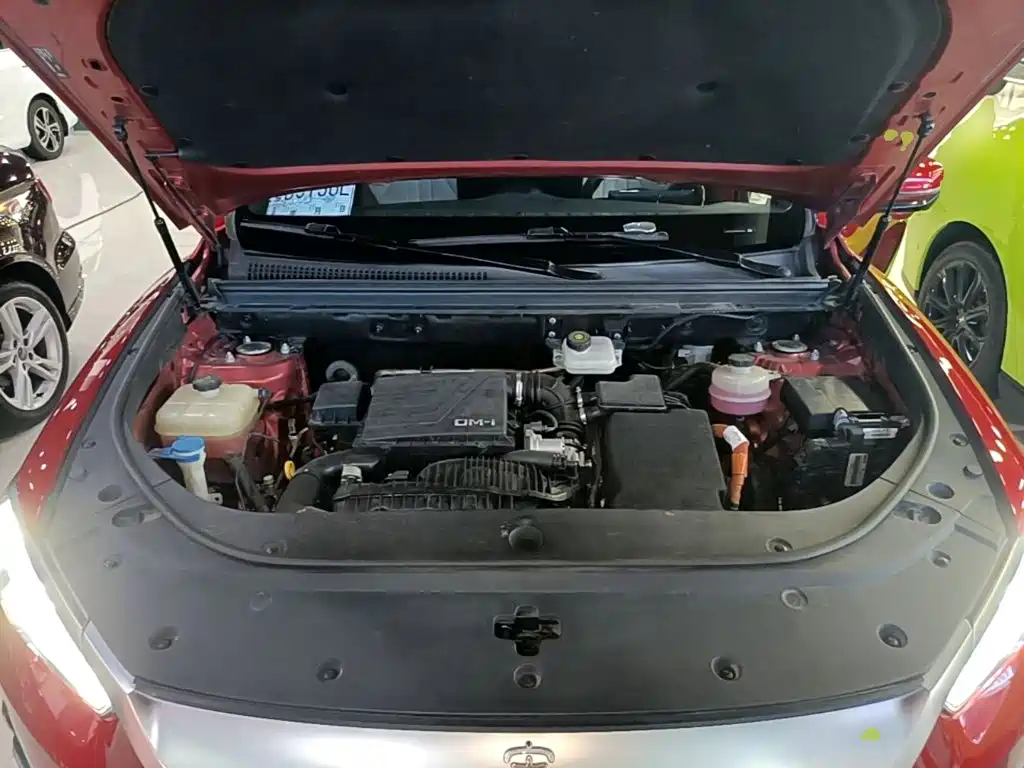 BYD Pro New Energy — миниатюра 20