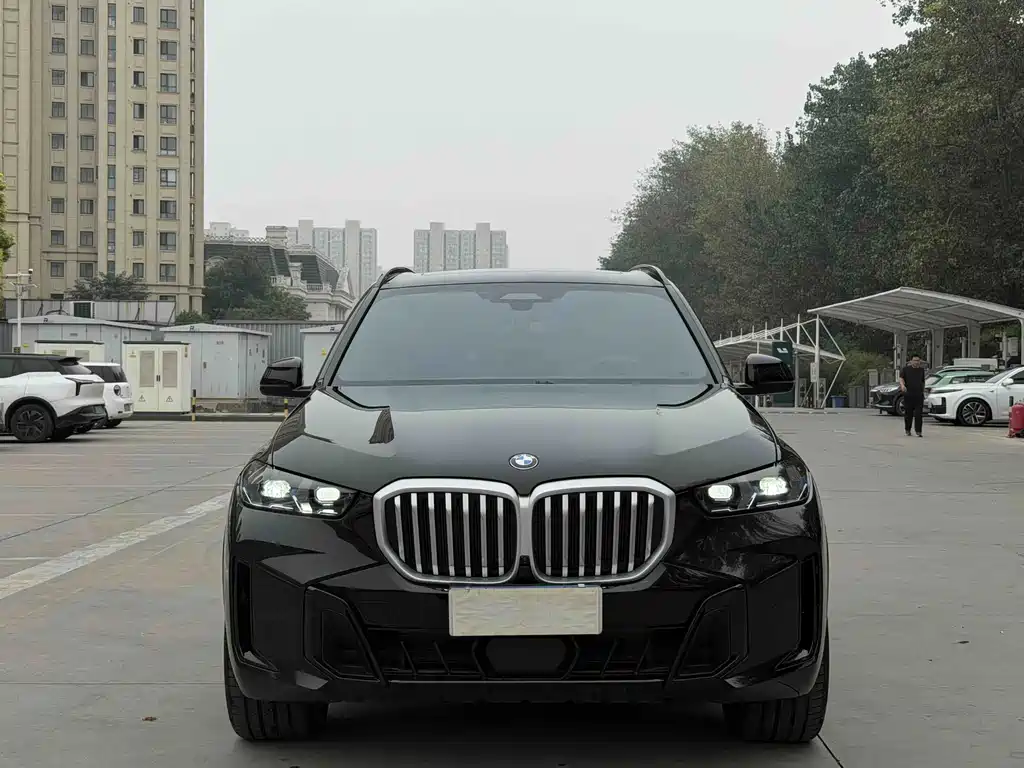 BMW X5 — миниатюра 2
