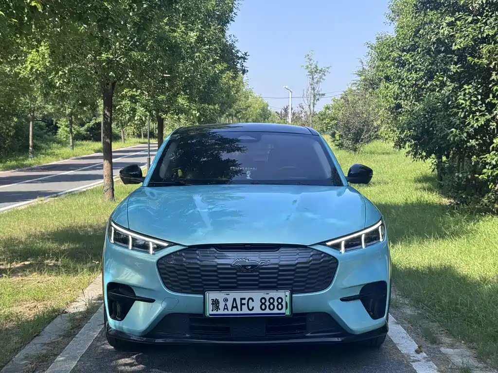 Ford Mustang Mach-E — миниатюра 2