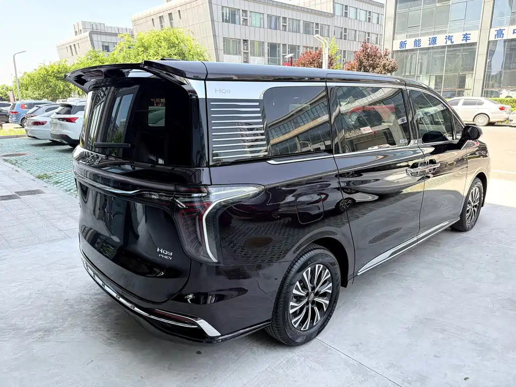 Hongqi Hongqi HQ9 PHEV — миниатюра 4