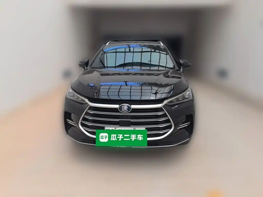 BYD Tang New Energy — миниатюра 2