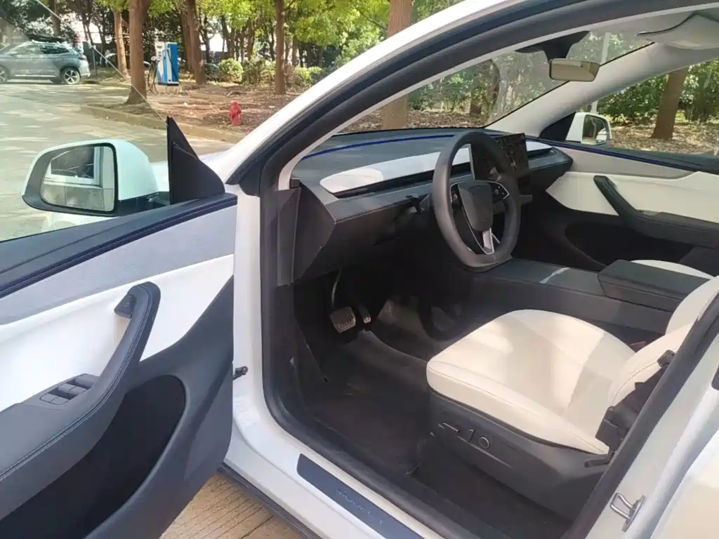 Tesla Model Y — миниатюра 16