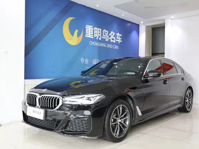 bmw 5-series-new-energy